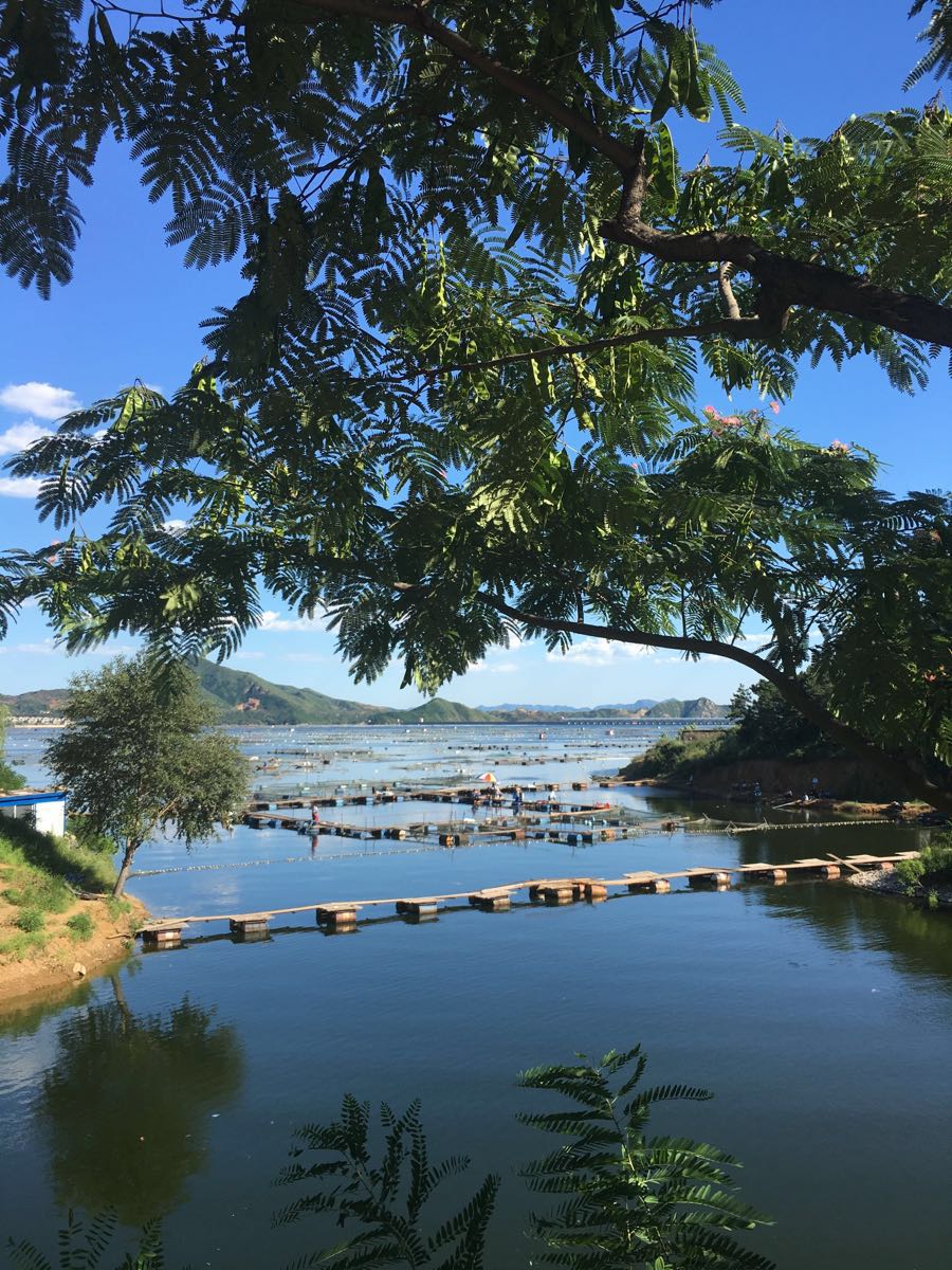 大黑汀水库