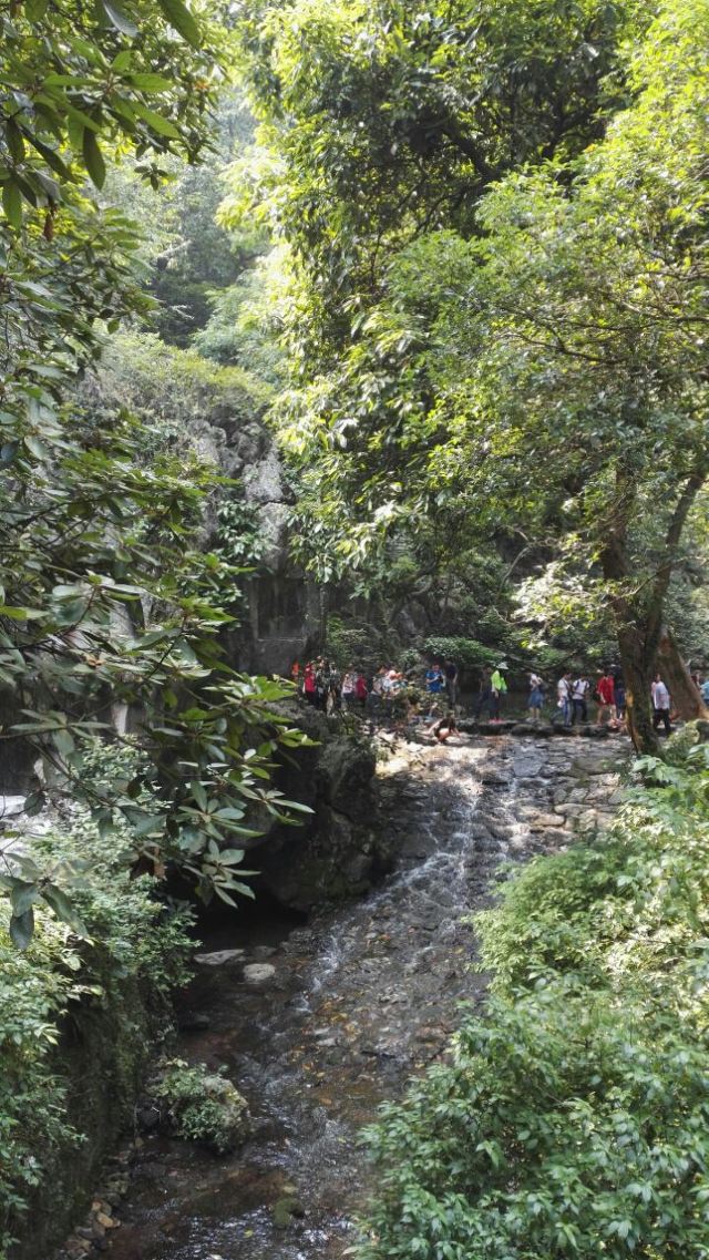 Hangzhou Lingyin Temple and Feilai Peak Scenic Spot