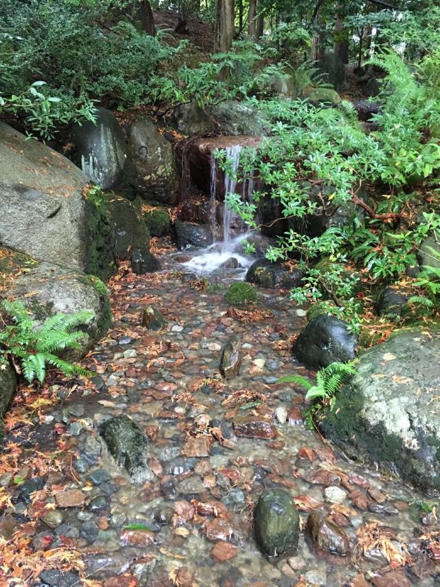 Nitobe Memorial Garden Attractions 牡丹 Greater Vancouver Travel