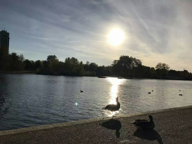 Hyde Park