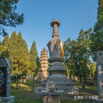 洛阳牡丹园+龙门石窟+少林寺3日2晚跟团游