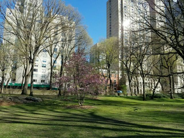 Central Park