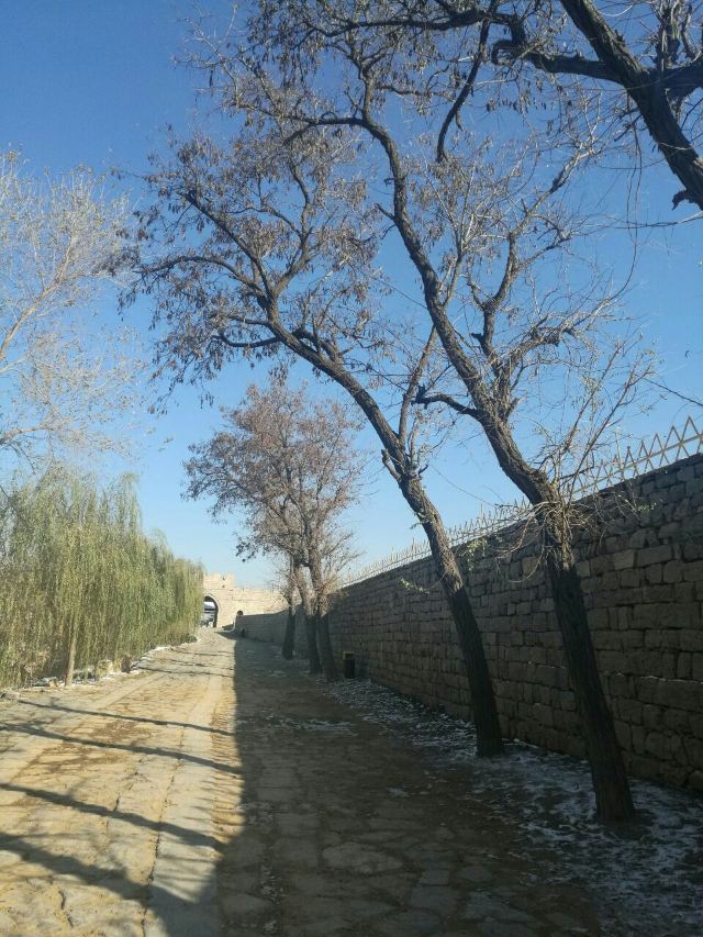주자위