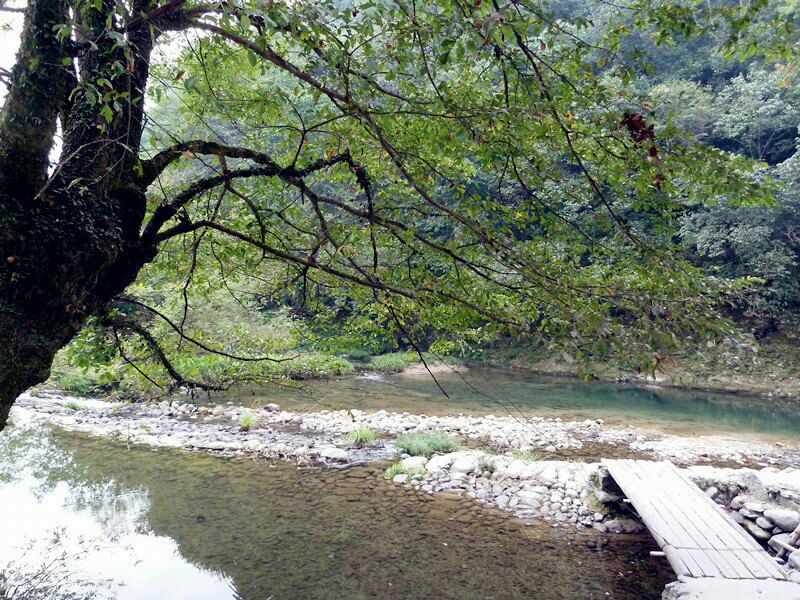 麻仓景区