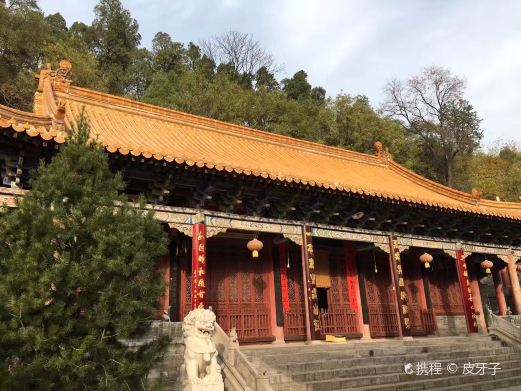 护国兴教寺