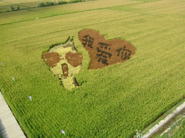 稻夢空間
