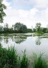 Jeolmul Natural Forest Resort