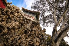 御花园-北京-doris圈圈