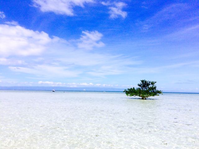 Virgin Island