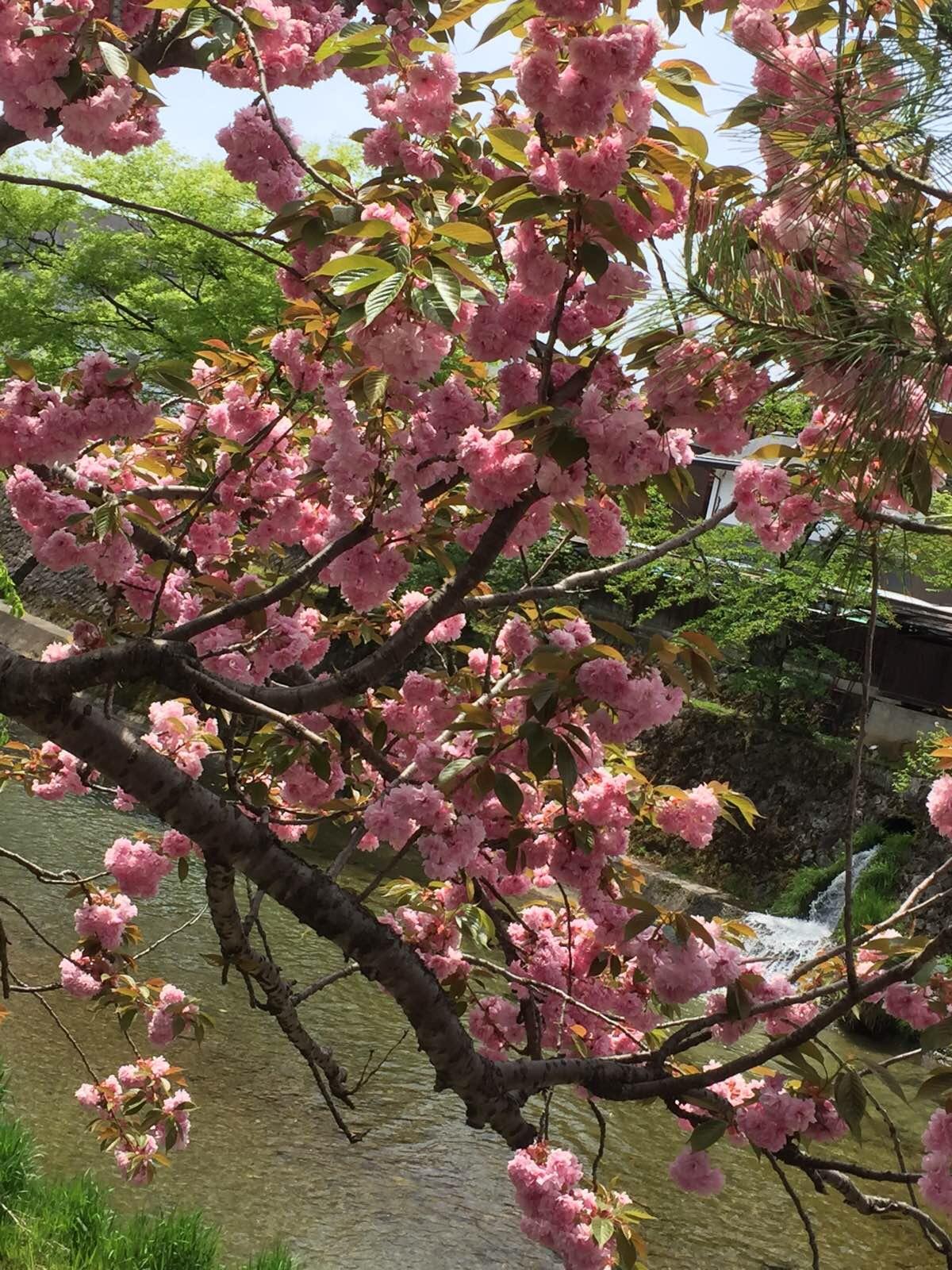 桜山ハ幡宮和保存完好的古街道