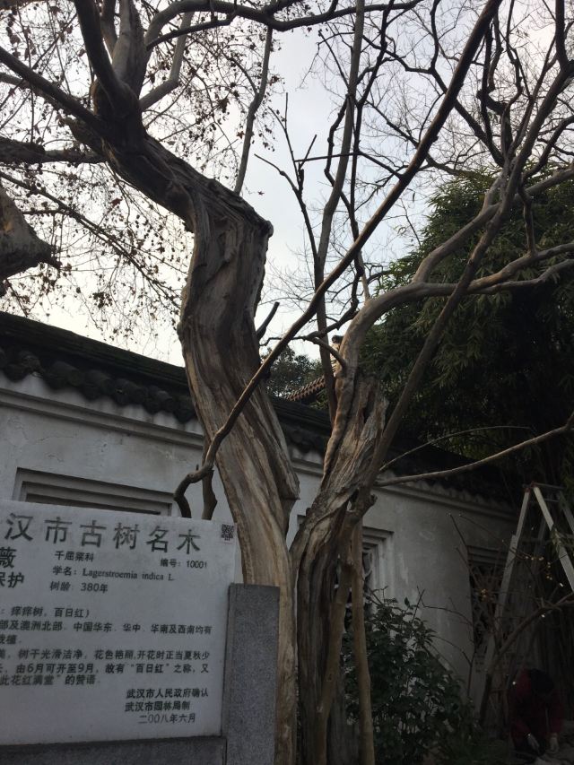 황허러우(황학루)
