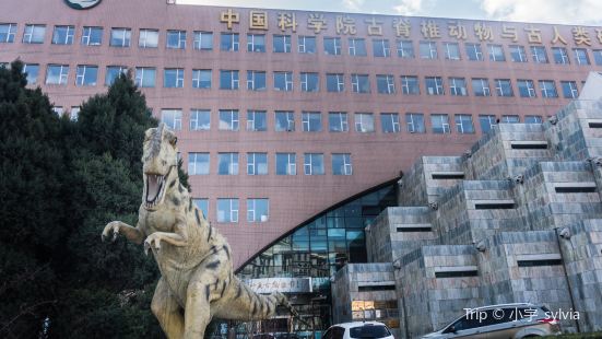 The Paleozoological Museum of China