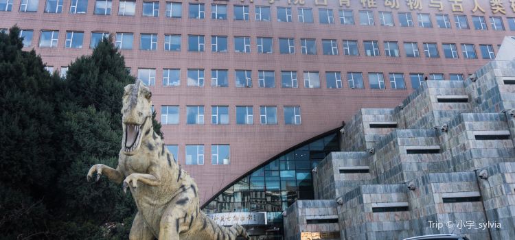 The Paleozoological Museum Of China Tickets Deals - 