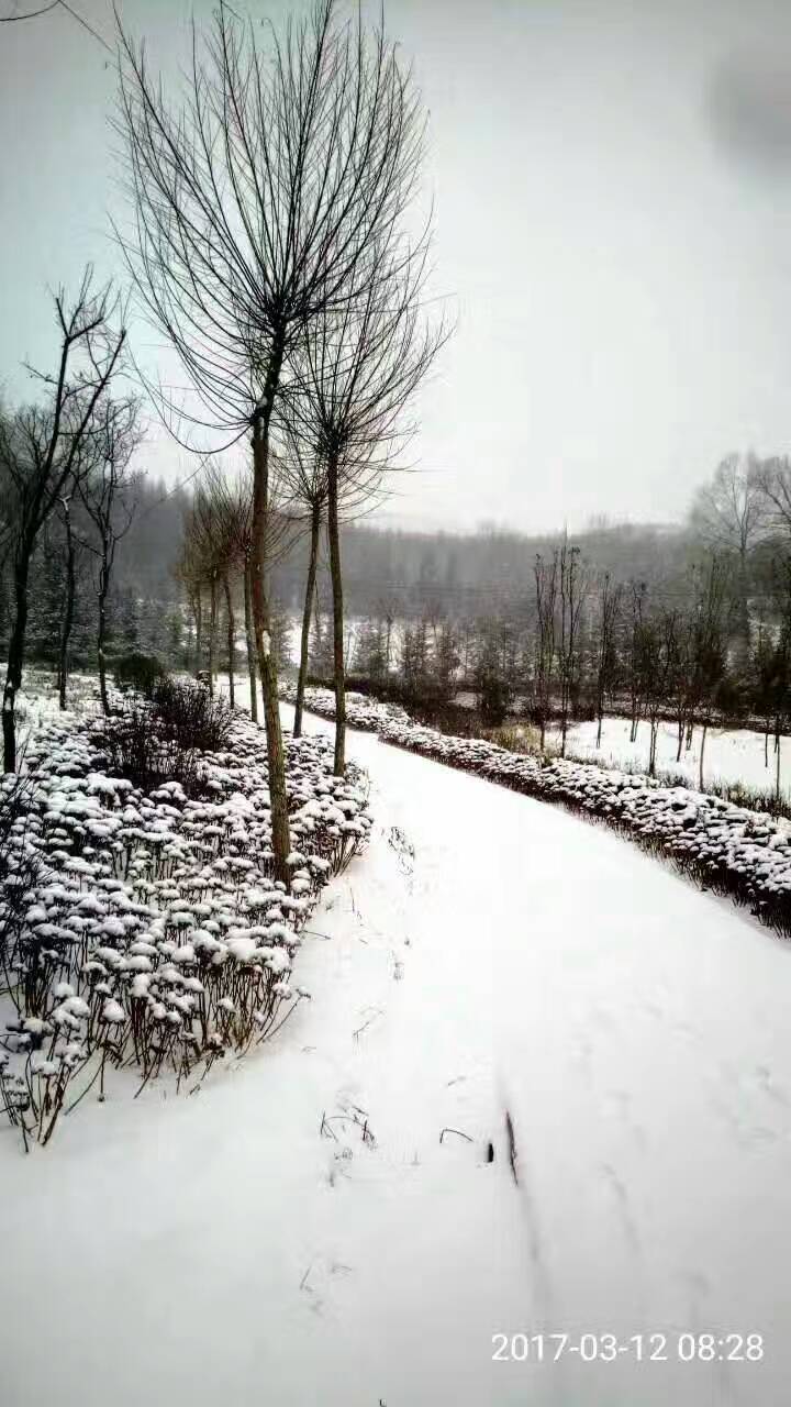 湟中蚂蚁沟水库