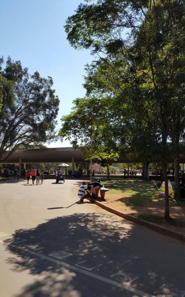 Ibirapuera Park