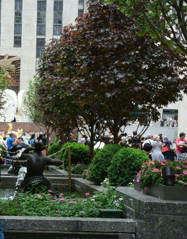 Rockefeller Center