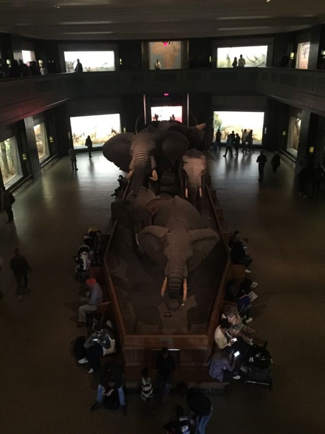 American Museum of Natural History
