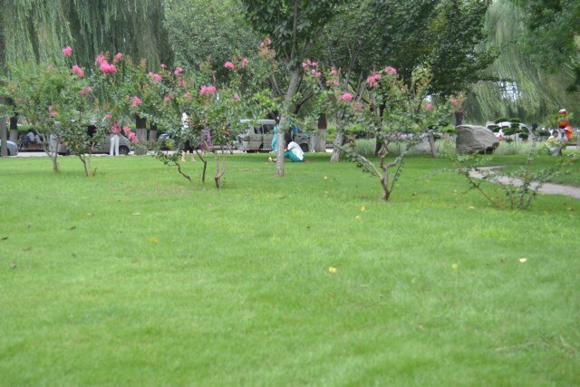 濮阳新蕾公园
