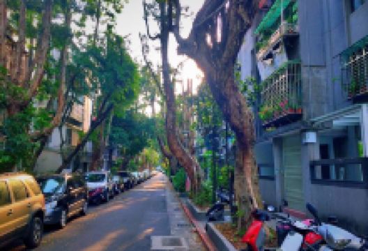 民生公园景点图片