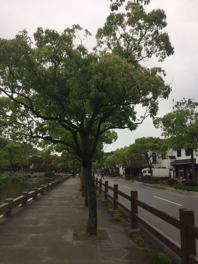 普陀山風景區