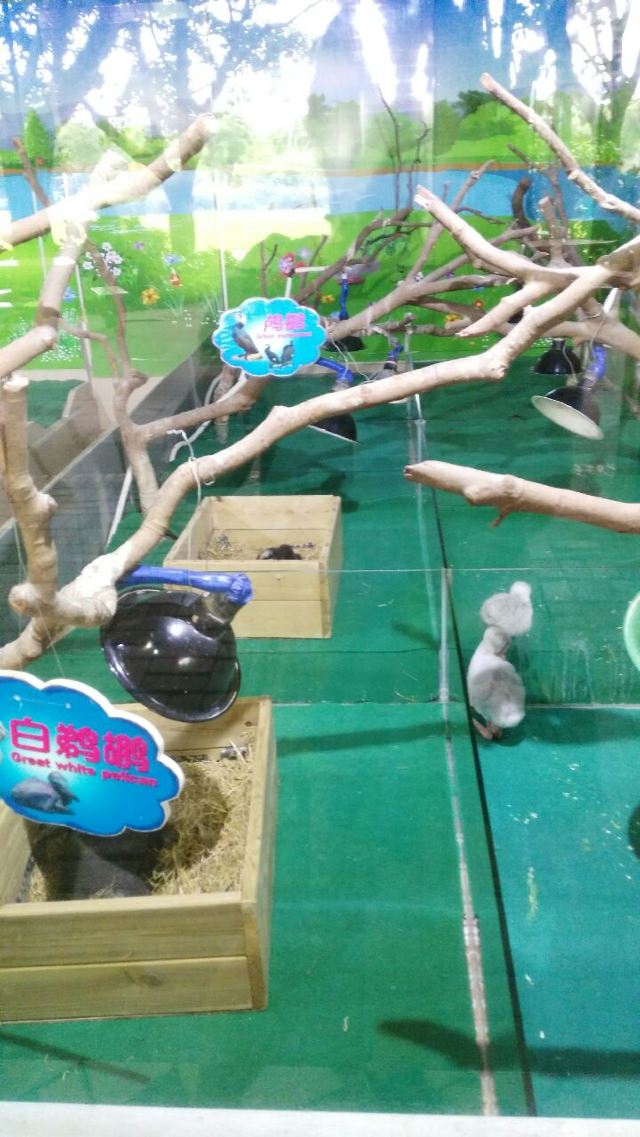 Chimelong Bird Park