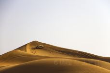 沙漠冲沙-迪拜-doris圈圈