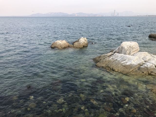 양마섬