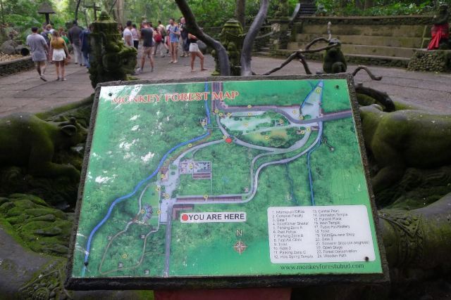 Ubud Monkey Forest