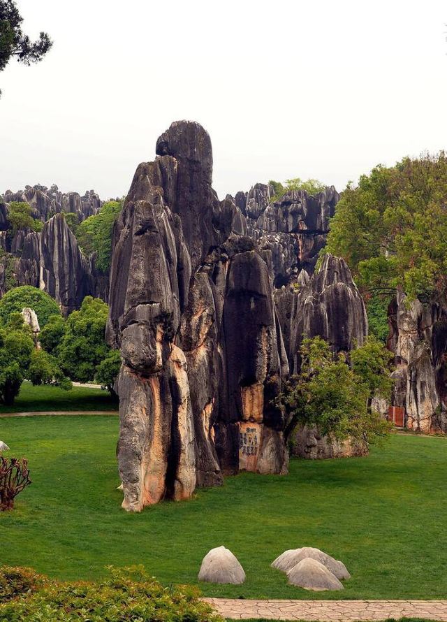 Stone Forest