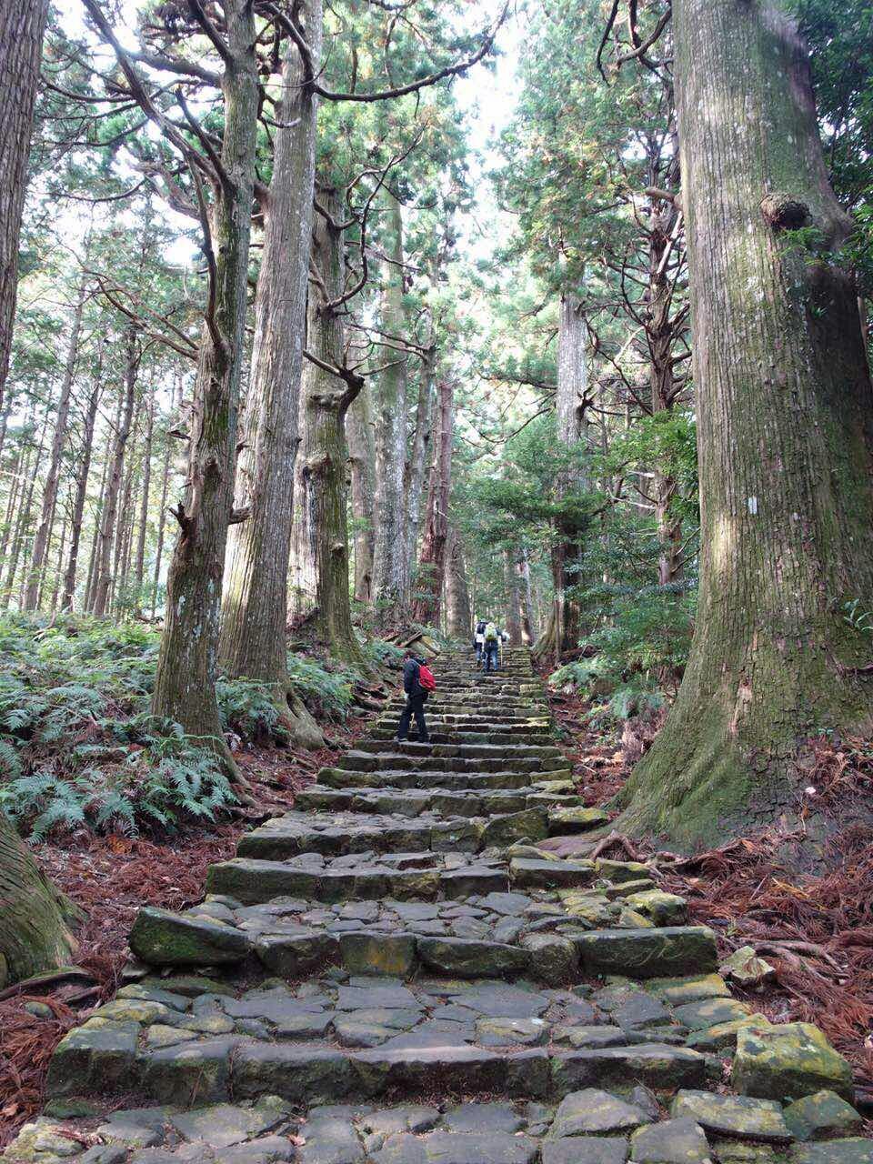 熊野古道徒步