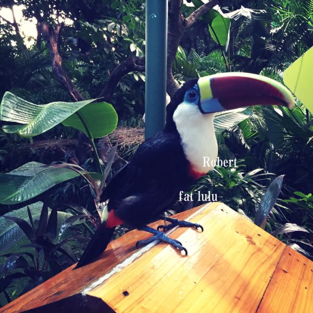 Chimelong Bird Park