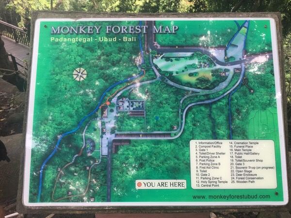 Ubud Monkey Forest