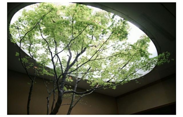 Kahitsukan, Kyoto Museum of Contemporary Art