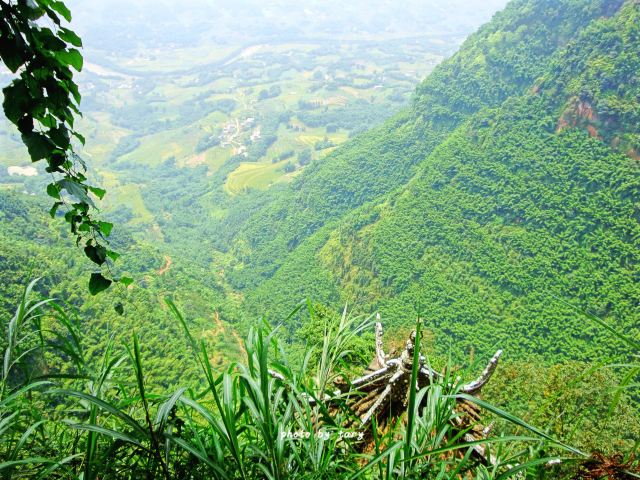 Shunan Zhuhai (“South Sichuan Bamboo Sea”) National Park
