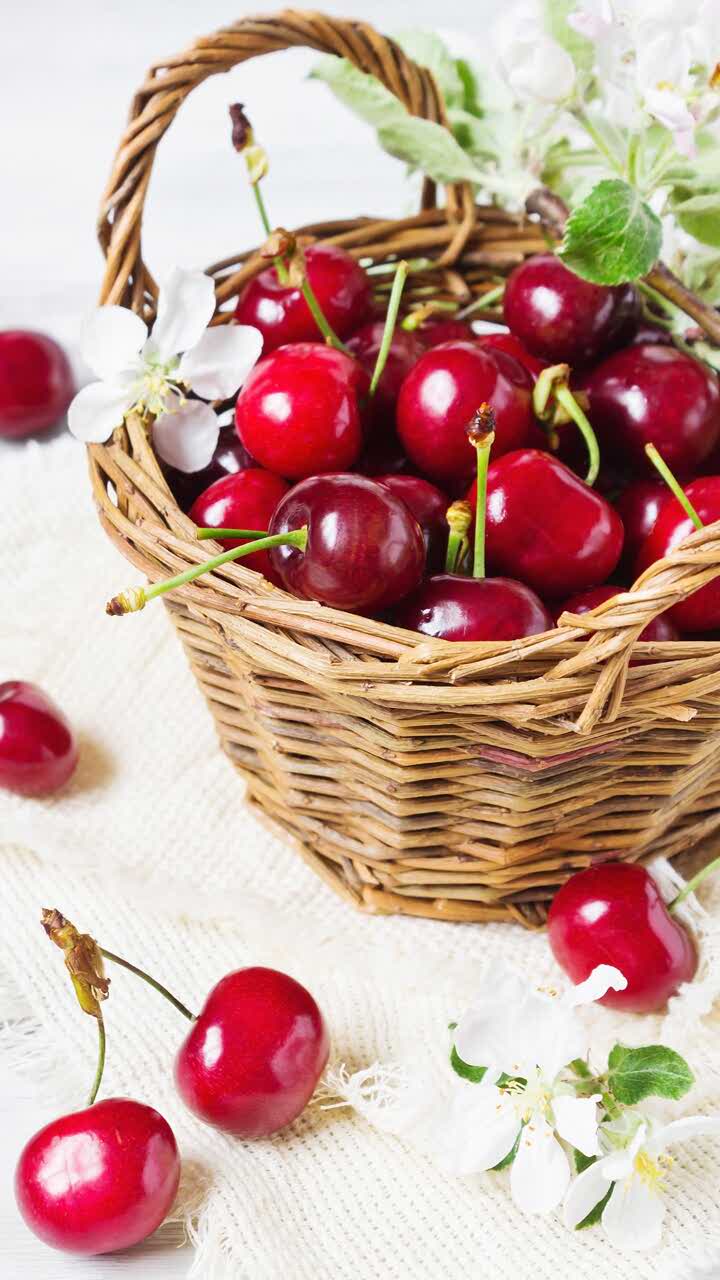 KEN DE JI MO XIANG CHENG DIAN