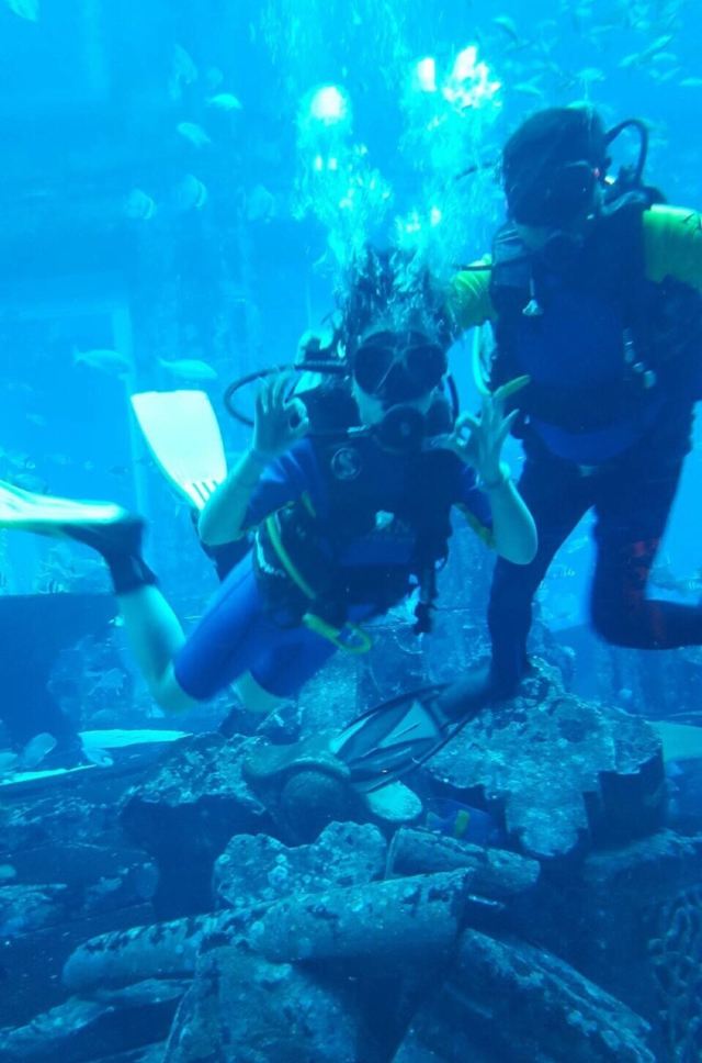 Dolphin Bay