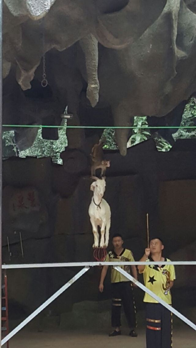 Nanwan Monkey Island