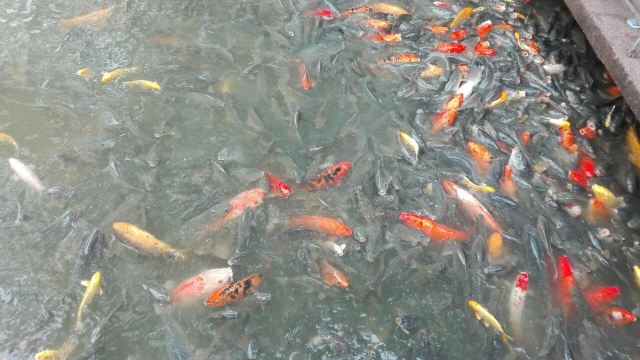 구이린시산관광지