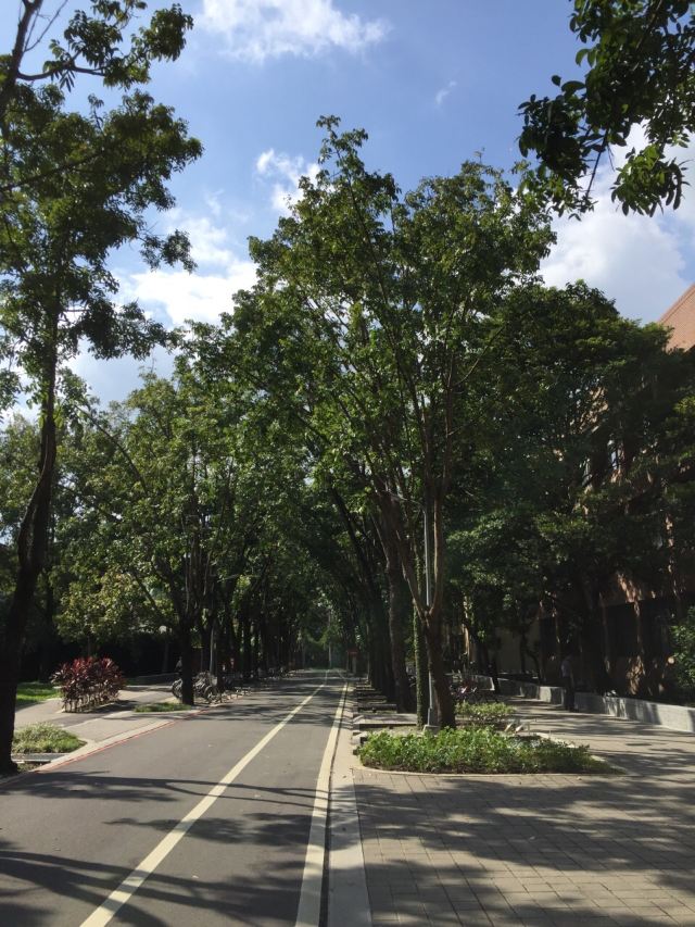 Taiwan University