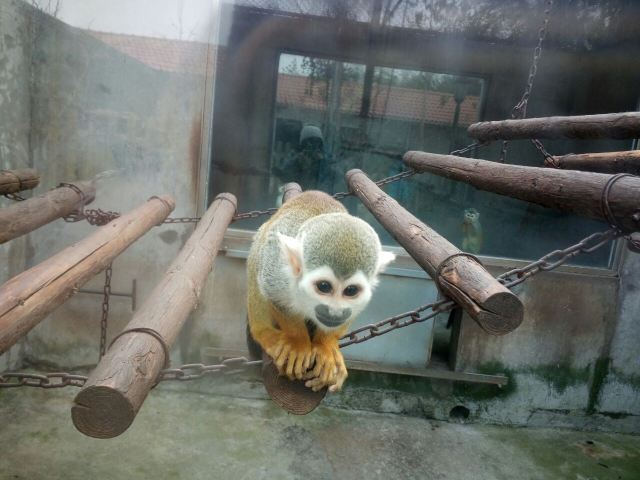 황금강 리조트