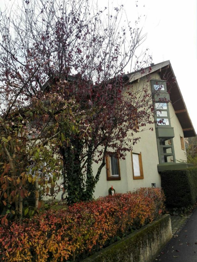 Town of Spiez
