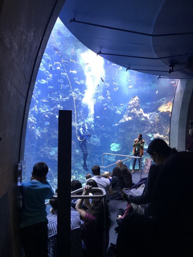 California Academy of Sciences