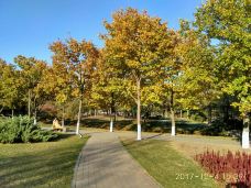 太阳岛风景区-哈尔滨-YoYo_5N9L9L4Q