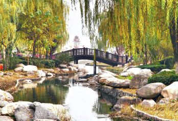 大明宫国家遗址公园+鼓楼+钟楼+大唐不夜城+西安博物院G  【可选中文/英文/俄语/小语种服务，沟通无障碍，景点可调。】