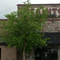 Saint's Pub & Patio