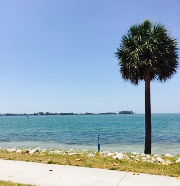 McDonald's餐厅图片