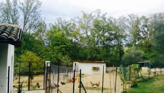 Agriturismo Tenuta Il Laureto