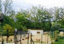 Agriturismo Tenuta Il Laureto美食图片