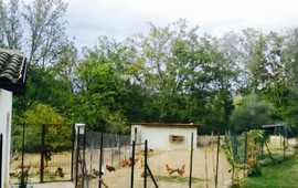 Agriturismo Tenuta Il Laureto