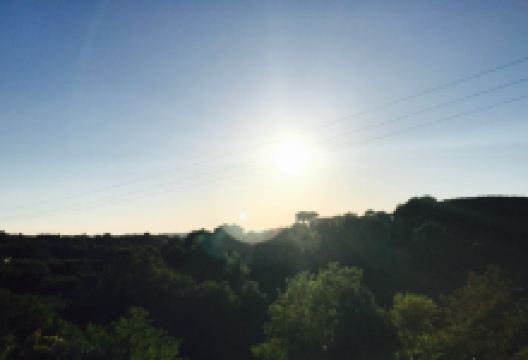 Il Pettirosso美食图片